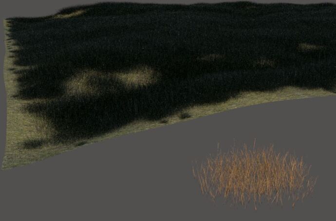 Skatter%20Rendered