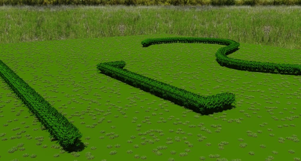 Hedge Grass Test_Scene 4