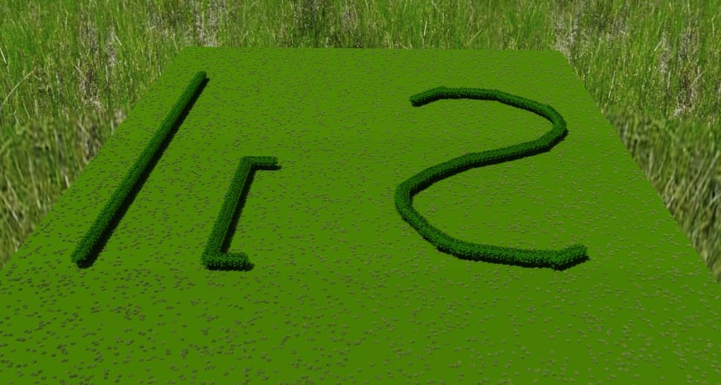 Hedge Grass Test_Scene 1