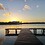 William_Webb